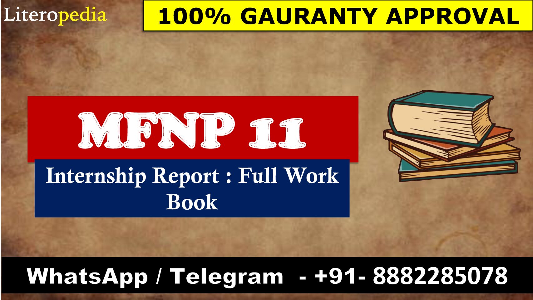 MFNP 11 Internship Report : Full Work Book