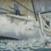 Why Moby Dick Is Still Relevant Today