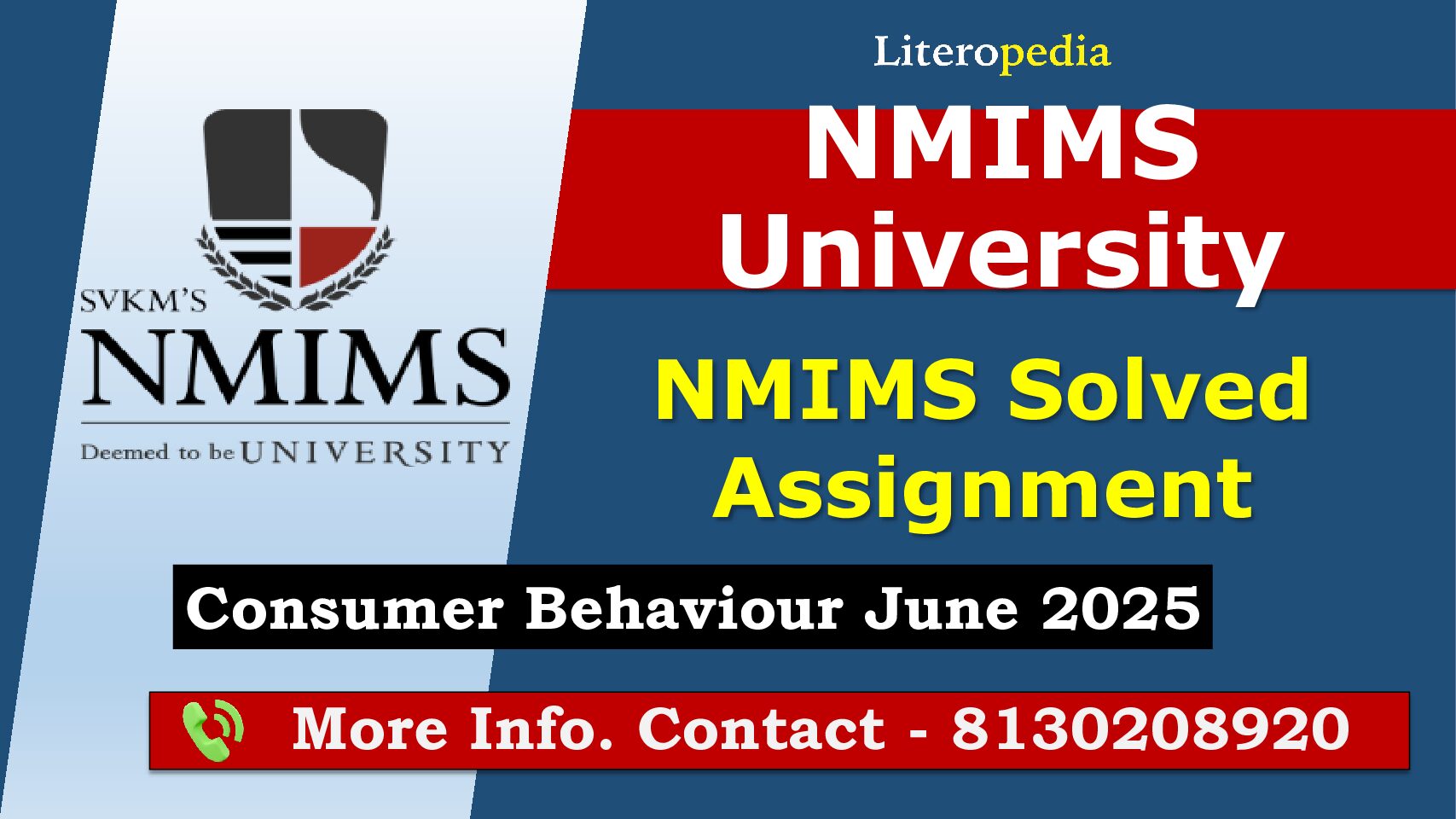 NMIMS Solved Assignment Consumer Behaviour June 2025
