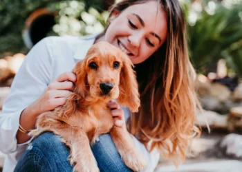 Pet Insurance UK Guide 2025: Worth It & Best Plans