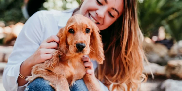 Pet Insurance UK Guide 2025: Worth It & Best Plans